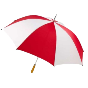 Umbrella - Best Business Marketing Gifts for Company's
